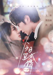 今日宜大婚(全集)