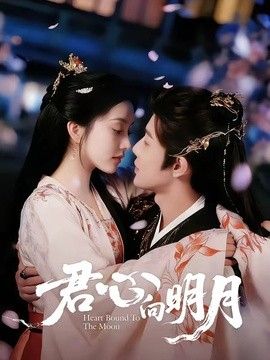 君心向明月(全集)