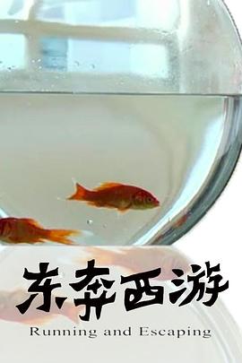 11度青春之(全集)